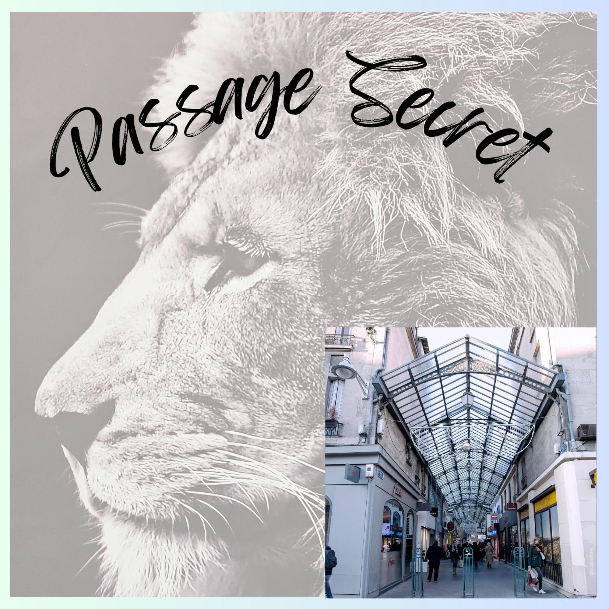 Passage Secret - Ideal Pro, Couples, Familles & Amis - Le Calme En Hypercentre - Wifi Haut Debit - Netflix - Machine A Laver - Gare, Cathedrale, Commerces, Restaurants & Transports En Commun A Moins De 10 Minutes A Pied Reims Exteriör bild